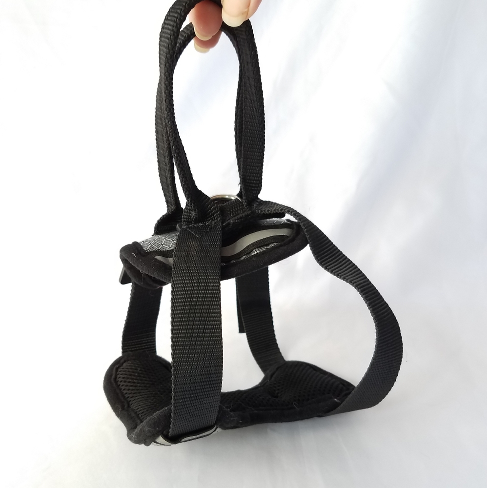 Top Paw safety dog harness